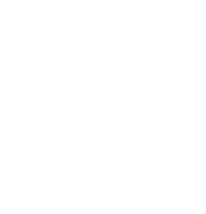 Epiphany Craft Malt